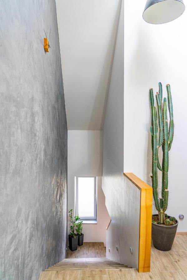 Apartman Za-Ka 1 Ubytovani Litovel Cervenka Buitenkant foto